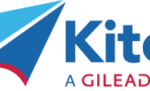 logo-kite-300x91-1-150x91